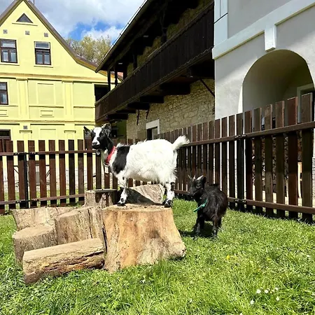 Gasthof Pivovar Mlyn